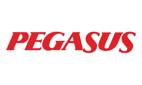 pegasus 02